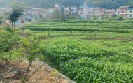 赛事比分-下一代都不回农村，还有必要回老家建房吗？说回农村建房人傻的，才是真不懂