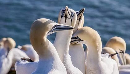 8868体育平台：让热爱变成日常的全新体育体验