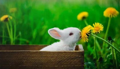 华体会官网：体育世界的一站式体验，点亮你的热血每一天